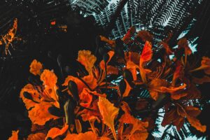 C4905477-9632-4788-86A6-F678ACDF749D image